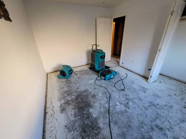 Best Water damage restoration near me  in East Shoreham, NY