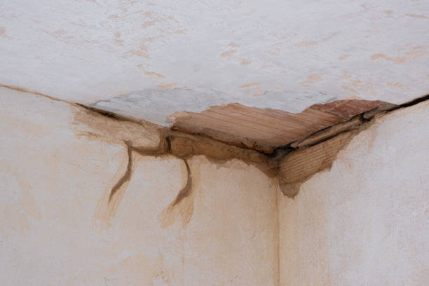 Best Fire Damage Restoration  in East Shoreham, NY