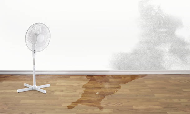 Best Ceiling water damage repair  in East Shoreham, NY
