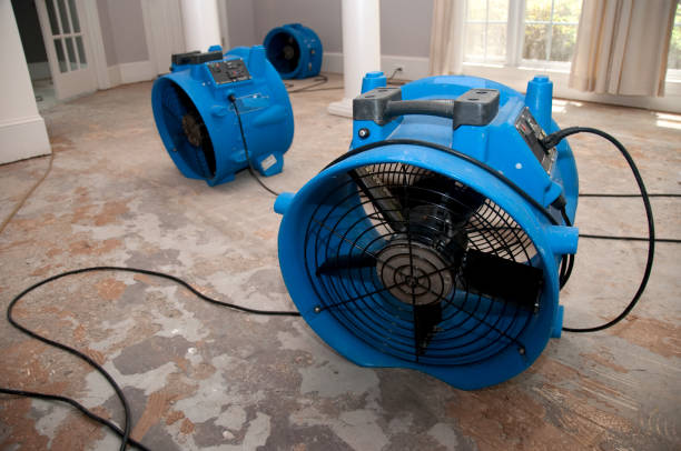 Best Residential water damage restoration  in East Shoreham, NY
